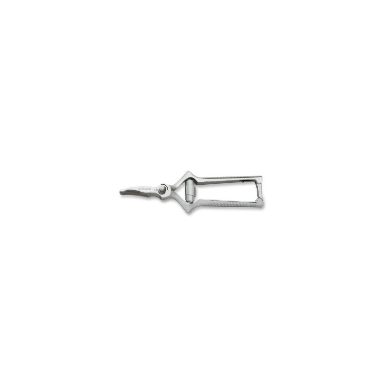 Masticateur inox