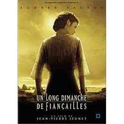 DVD en audiodescription