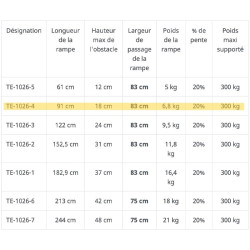 Rampe d'accès pliable éco 91cm