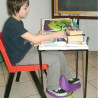 Plateforme pivotante Busylegz