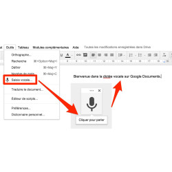 Application Google Docs - Traitement de texte en ligne (GOOGLE)