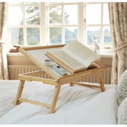 Plateau de lit inclinable (TOUS ERGO)