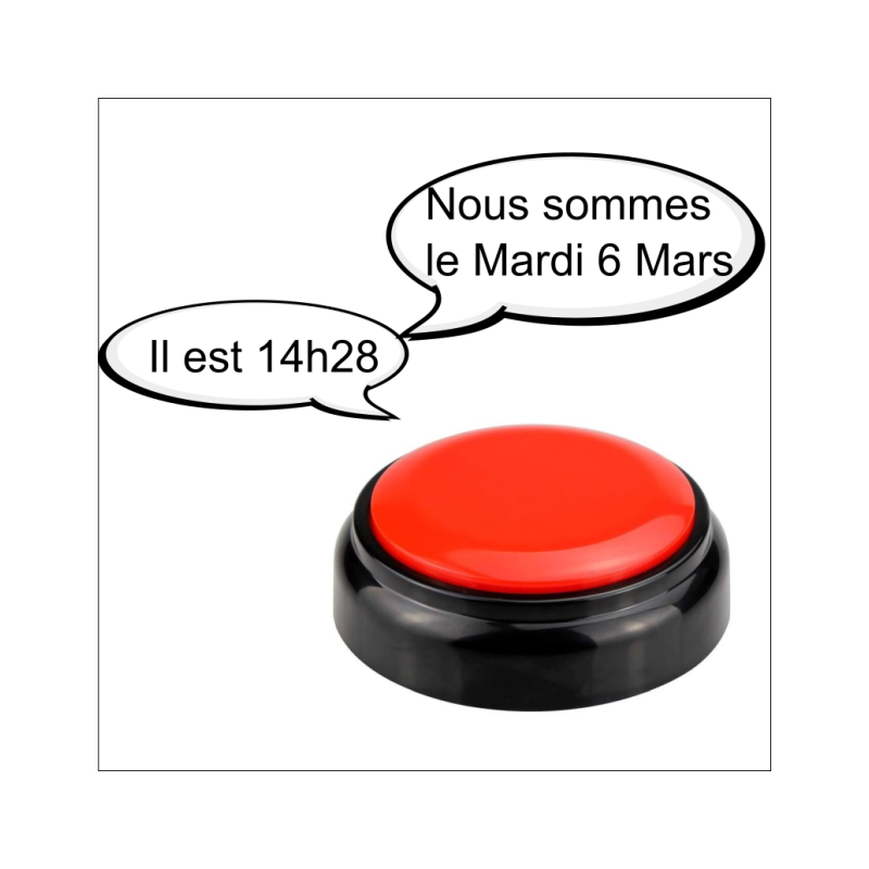 Horloge parlante voix humaine (AIDAPT)